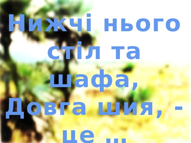 Нижчі нього стіл та шафа,  Довга шия, - це … 