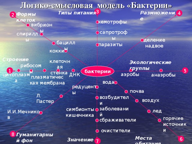 Логико-смысловая  модель «Бактерии» 3 Типы питания Размножение 4 Формы клеток 2 хемотрофы вибрионы сапротрофы спириллы деление надвое бациллы паразиты кокки Строение клеточная стенка Экологические группы рибосомы бактерии 5 1 аэробы цитоплазма ДНК анаэробы плазматическая мембрана вода редуценты почва Л. Пастер возбудители заболеваний воздух симбионты кишечника лед И.И.Мечников горячие источники сбраживатели очистители Гуманитарный фон 8 Места обитания Значение 6 7 