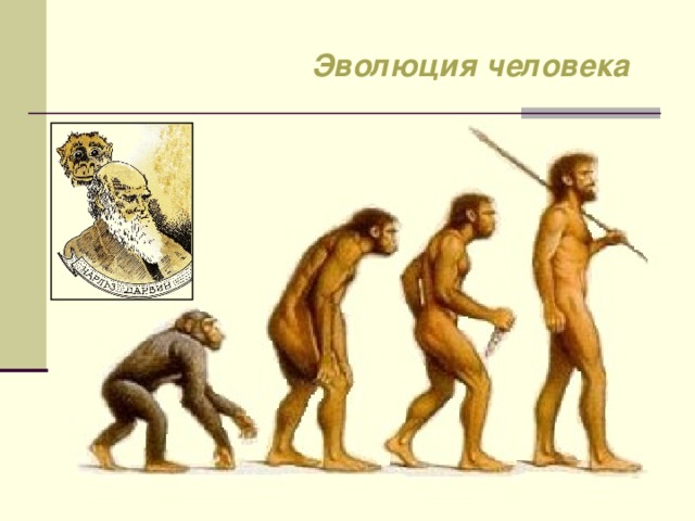 История человечества в картинке Презентация к уроку по окружающему миру "На заре человечества"