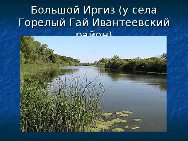 Большой Иргиз (у села Горелый Гай Ивантеевский район) 