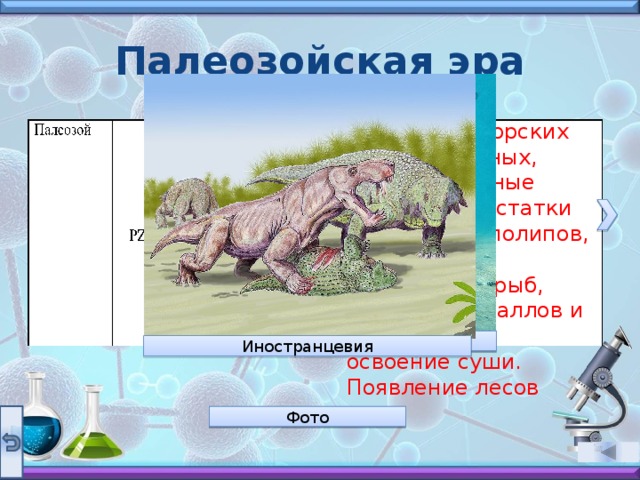 Палеозойская эра Появление морских беспозвоночных, многоклеточные водоросли. Остатки коралловых полипов, появление древнейших рыб, развитие кораллов и трилобитов, освоение суши. Появление лесов Трилобит Морские скорпион Иностранцевия Фото 