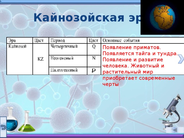 Кайнозойская эра Появление приматов. Появляется тайга и тундра. Появление и развитие человека. Животный и растительный мир приобретает современные черты 