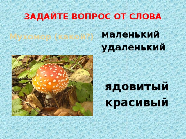 ЗАДАЙТЕ ВОПРОС ОТ СЛОВА маленький Мухомор (какой?) удаленький ядовитый красивый 