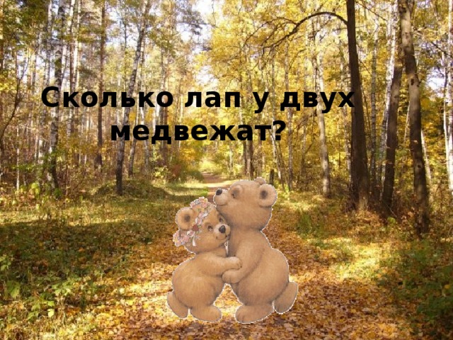 Сколько лап у двух медвежат? 