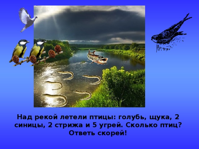 Над рекой летели птицы: голубь, щука, 2 синицы, 2 стрижа и 5 угрей. Сколько птиц? Ответь скорей! 