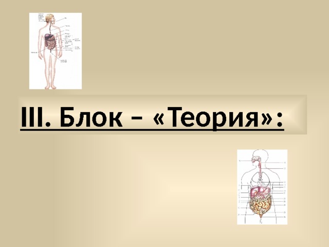 III. Блок – «Теория»: 