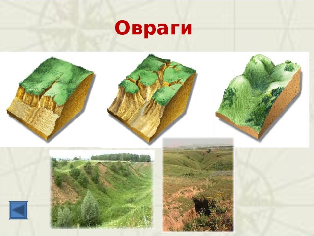 Овраги 