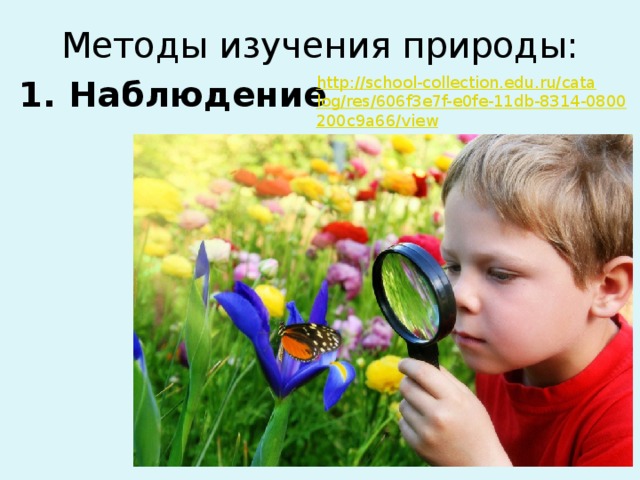 Методы изучения природы: http://school-collection.edu.ru/catalog/res/606f3e7f-e0fe-11db-8314-0800200c9a66/view 1. Наблюдение 