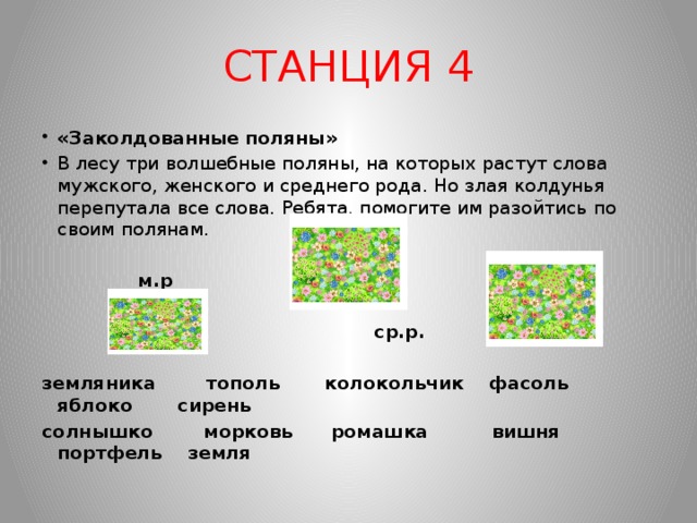 СТАНЦИЯ 4 «Заколдованные поляны» В лесу три волшебные поляны, на которых растут слова мужского, женского и среднего рода. Но злая колдунья перепутала все слова. Ребята, помогите им разойтись по своим полянам.  м.р ж.р.  ср.р.   земляника тополь колокольчик фасоль яблоко сирень солнышко морковь ромашка вишня портфель земля