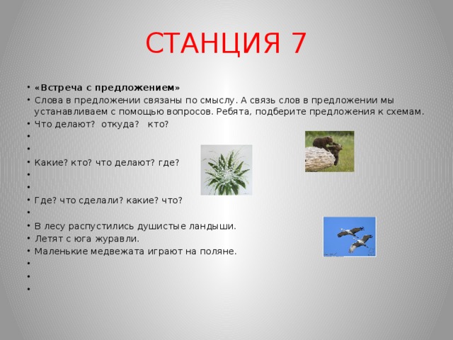 СТАНЦИЯ 7