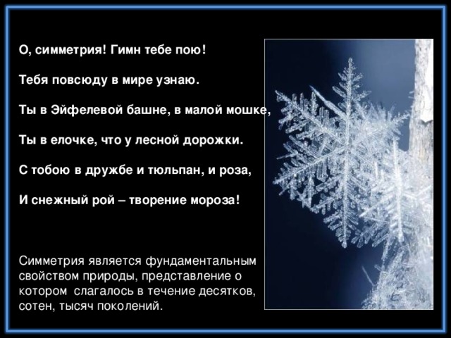 О, симметрия! Гимн тебе пою!  Тебя повсюду в мире узнаю.  Ты в Эйфелевой башне, в малой мошке,  Ты в елочке, что у лесной дорожки.  С тобою в дружбе и тюльпан, и роза,  И снежный рой – творение мороза! Симметрия является фундаментальным свойством природы, представление о котором слагалось в течение десятков, сотен, тысяч поколений.