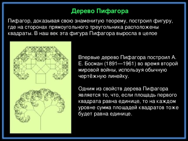 Дерево Пифагора Пифагор, доказывая свою знаменитую теорему, построил фигуру, где на сторонах прямоугольного треугольника расположены квадраты. В наш век эта фигура Пифагора выросла в целое дерево. Впервые дерево Пифагора построил А. Е. Босман (1891—1961) во время второй мировой войны, используя обычную чертёжную линейку. Одним из свойств дерева Пифагора является то, что, если площадь первого квадрата равна единице, то на каждом уровне сумма площадей квадратов тоже будет равна единице.