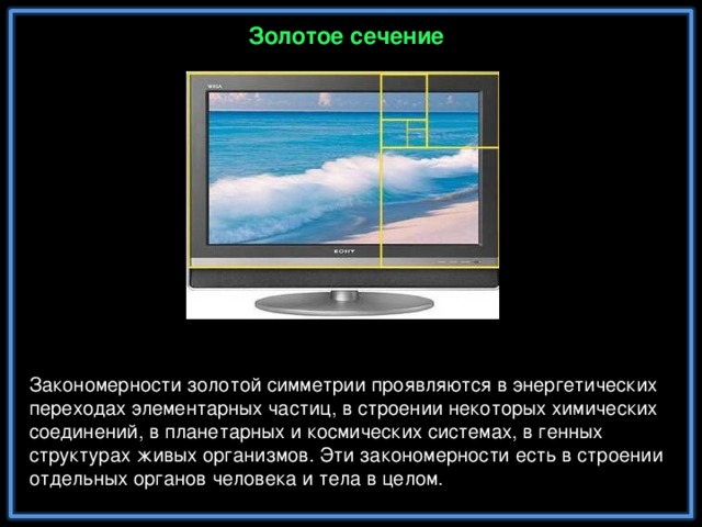 Золотое сечение Закономерности золотой симметрии проявляются в энергетических переходах элементарных частиц, в строении некоторых химических соединений, в планетарных и космических системах, в генных структурах живых организмов. Эти закономерности есть в строении отдельных органов человека и тела в целом.