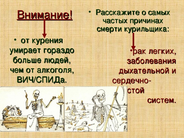 Внимание! Расскажите о самых частых причинах смерти курильщика: от курения умирает гораздо больше людей, чем от алкоголя, ВИЧ/СПИДа. рак легких, заболевания дыхательной и сердечно- сосудистой систем. 