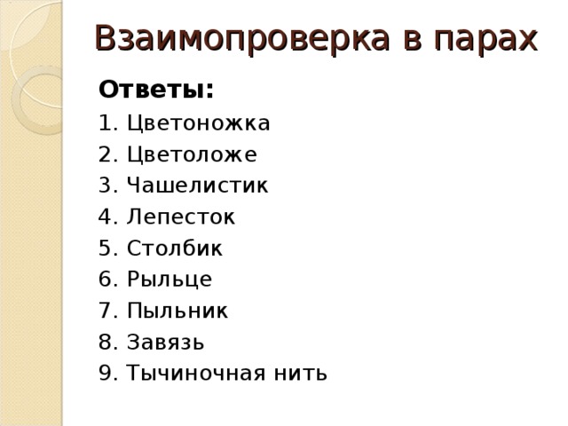 Взаимопроверка в парах Ответы: 1. Цветоножка 2. Цветоложе 3. Чашелистик 4. Лепесток 5. Столбик 6. Рыльце 7. Пыльник 8. Завязь 9. Тычиночная нить 