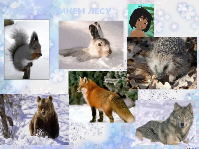 ЗВЕРИ В ЗИМНЕМ ЛЕСУ 