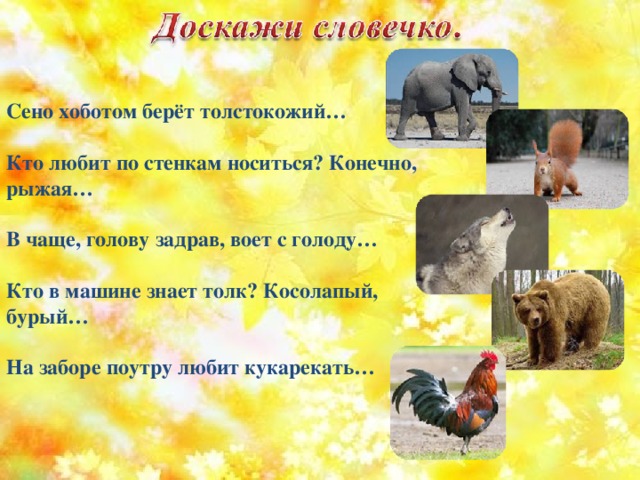 Сено хоботом берёт толстокожий…  Кто любит по стенкам носиться? Конечно, рыжая…  В чаще, голову задрав, воет с голоду…  Кто в машине знает толк? Косолапый, бурый…  На заборе поутру любит кукарекать… 