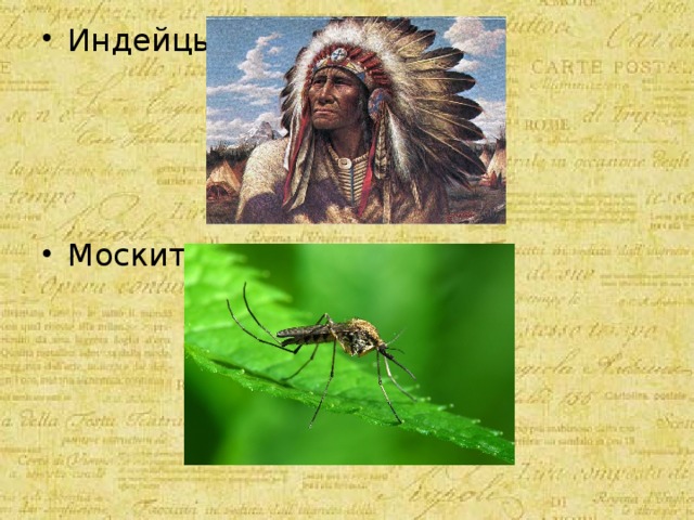 Индейцы- Москит- 