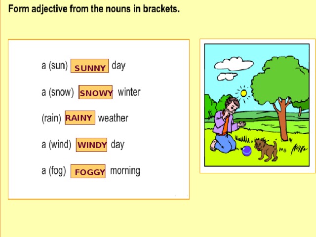 SUNNY SNOWY RAINY WINDY FOGGY 