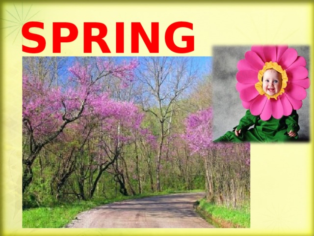 SPRING 
