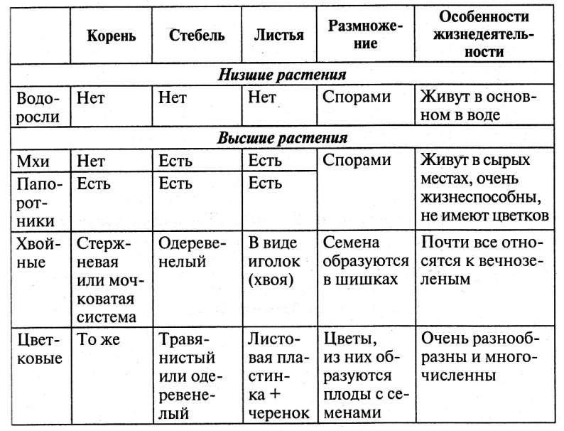 Окружающий мир 3 класс в схемах и таблицах