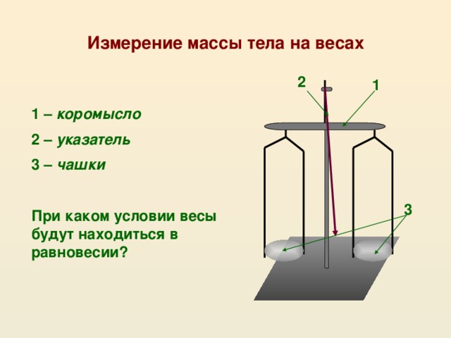 Картинка измерение массы тела