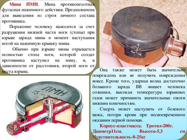 Презентация противопехотные мины