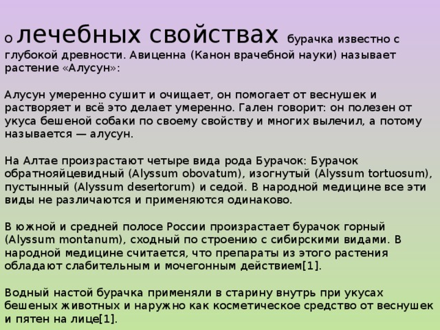 О лечебных свойствах бурачка известно с глубокой древности. Авиценна (Канон врачебной науки) называет растение «Алусун»: Алусун умеренно сушит и очищает, он помогает от веснушек и растворяет и всё это делает умеренно. Гален говорит: он полезен от укуса бешеной собаки по своему свойству и многих вылечил, а потому называется — алусун. На Алтае произрастают четыре вида рода Бурачок: Бурачок обратнояйцевидный (Alyssum obovatum), изогнутый (Alyssum tortuosum), пустынный (Alyssum desertorum) и седой. В народной медицине все эти виды не различаются и применяются одинаково. В южной и средней полосе России произрастает бурачок горный (Alyssum montanum), сходный по строению с сибирскими видами. В народной медицине считается, что препараты из этого растения обладают слабительным и мочегонным действием[1]. Водный настой бурачка применяли в старину внутрь при укусах бешеных животных и наружно как косметическое средство от веснушек и пятен на лице[1]. В Западной Сибири и на Алтае бурачок вне зависимости от вида применяется внутрь при грыжах (особенно паховой), при простуде и камнях в почках[1]. 