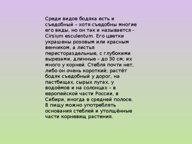 Среди видов бодяка есть и съедобный – хотя съедобны многие его виды, но он так и называется - Cirsium esculentum. Его цветки украшены розовым или красным венчиком, а листья перистораздельные, с глубокими вырезами, длинные – до 30 см; их много у корней. Стебля почти нет, либо он очень короткий; растёт бодяк съедобный у дорог, на пастбищах, сырых лугах, у водоёмов и на солонцах – в европейской части России, в Сибири, иногда в средней полосе. В пищу можно употреблять основания стеблей и утолщённые части корневищ растения. 