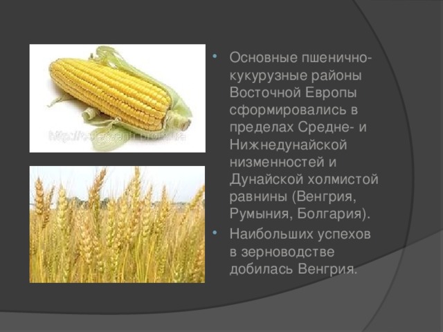 Основные пшенично-кукурузные районы Восточной Европы сформировались в пределах Средне- и Нижнедунайской низменностей и Дунайской холмистой равнины (Венгрия, Румыния, Болгария). Наибольших успехов в зерноводстве добилась Венгрия. 