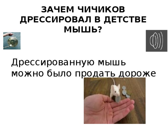 Зачем Чичиков дрессировал в детстве мышь? Дрессированную мышь можно было продать дороже 
