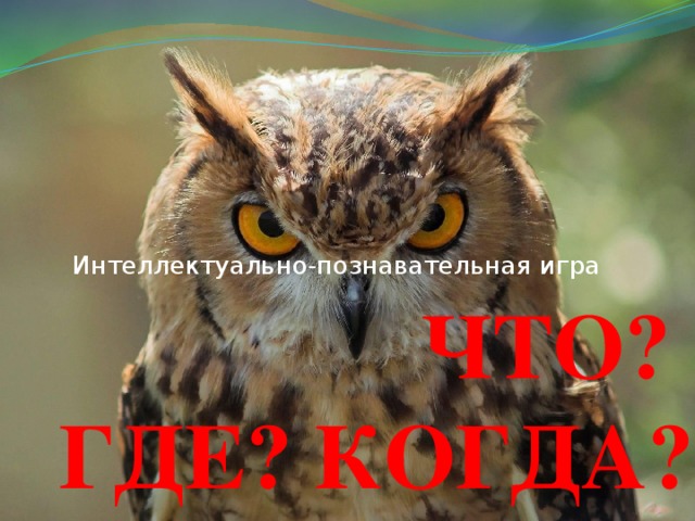                  ЧТО?  ГДЕ? КОГДА? Интеллектуально-познавательная игра 