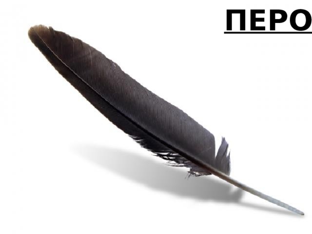 ПЕРО Перо 
