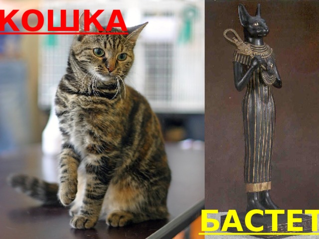 КОШКА БАСТЕТ 