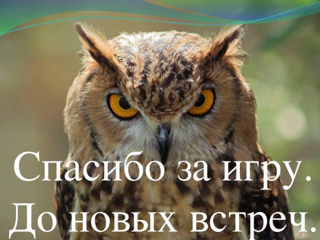       Спасибо за игру. До новых встреч. 