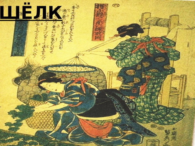 ШЁЛК 
