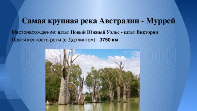 Самая крупная река Австралии - Муррей Местонахождение: штат Новый Южный Уэльс - штат Виктория Протяженность реки (с Дарлингом) - 3750 км