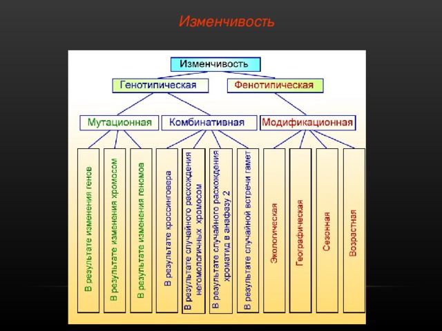 Изменчивость - ESCULAPPRO.RU