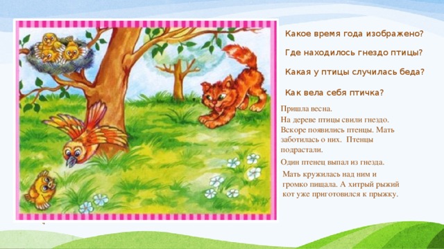 Какое время года изображено? Где находилось гнездо птицы? Какая у птицы случилась беда? Как вела себя птичка? Пришла весна. На дереве птицы свили гнездо. Вскоре появились птенцы. Мать заботилась о них. Птенцы подрастали. Один птенец выпал из гнезда. Мать кружилась над ним и громко пищала. А хитрый рыжий кот уже приготовился к прыжку.  