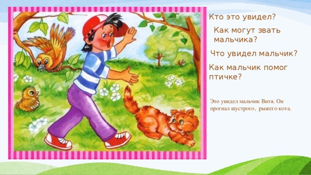 Кто это увидел? Как могут звать мальчика? Что увидел мальчик? Как мальчик помог птичке? Это увидел мальчик Витя. Он прогнал шустрого, рыжего кота.  