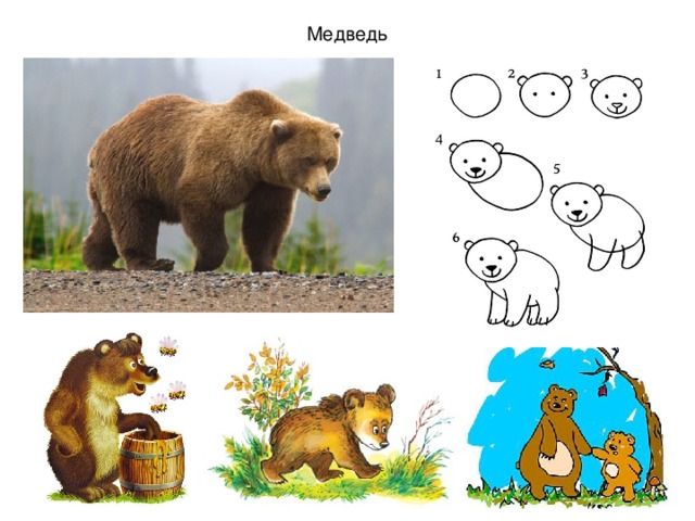 Три медведя рисунок для 1 класса