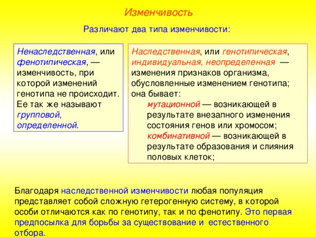 Изменчивость Различают два типа изменчивости: Ненаследственная , или фенотипическая , — изменчивость, при которой изменений генотипа не происходит. Ее так же называют групповой , определенной . Наследственная , или генотипическая , индивидуальная, неопределенная — изменения признаков организма, обусловленные изменением генотипа; она бывает: мутационной — возникающей в результате внезапного изменения состояния генов или хромосом; комбинативной — возникающей в результате образования и слияния половых клеток; мутационной — возникающей в результате внезапного изменения состояния генов или хромосом; комбинативной — возникающей в результате образования и слияния половых клеток; Благодаря наследственной изменчивости любая популяция представляет собой сложную гетерогенную систему, в которой особи отличаются как по генотипу, так и по фенотипу. Это первая предпосылка для борьбы за существование и естественного отбора.  