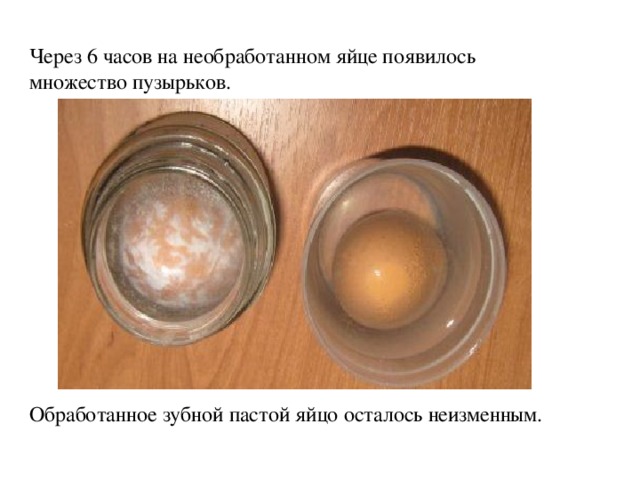 Через 6 часов на необработанном яйце появилось множество пузырьков. Обработанное зубной пастой яйцо осталось неизменным. 