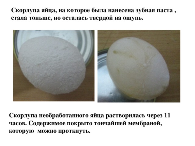 Скорлупа яйца, на которое была нанесена зубная паста , стала тоньше, но осталась твердой на ощупь. Скорлупа необработанного яйца растворилась через 11 часов. Содержимое покрыто тончайшей мембраной, которую можно проткнуть. 