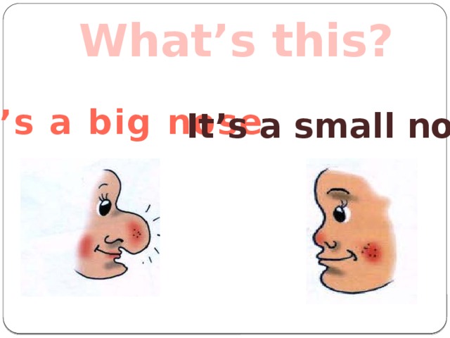 What’s this? It’s a big nose It’s a small nose 