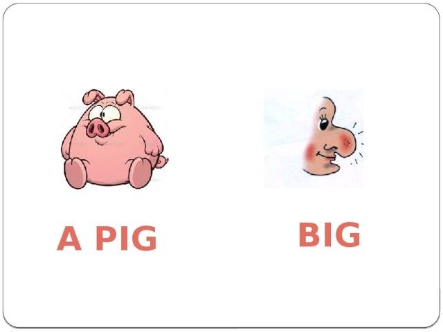 Big A pig 
