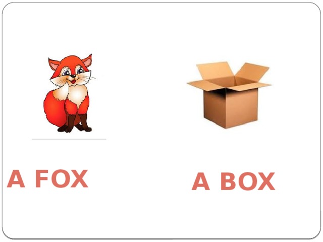 A fox A box 