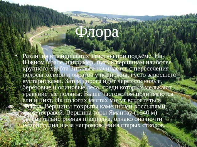 Фауна На севере можно встретить обитателей тундр — северных оленей, а на юге типичных жителей степей — сурков-байбаков, землероек, змей и ящериц. Леса населены хищниками: бурыми медведями, волками, росомахами, лисицами, соболями, горностаями, рысями. Водятся в них копытные (лоси, олени, косули и  др.) и птицы различных видов. По речным долинам встречаются выдра и бобр. В ильменском заповеднике удачно была проведена акклиматизация пятнистого оленя, расселены также ондра, бобр, марал, выхухоль,  енотовидная собака, американская норка, баргузинский соболь. 