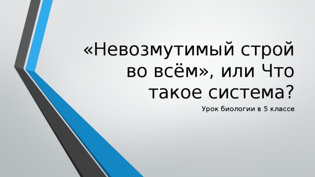 «Невозмутимый строй во всём», или Что такое система? Урок биологии в 5 классе 