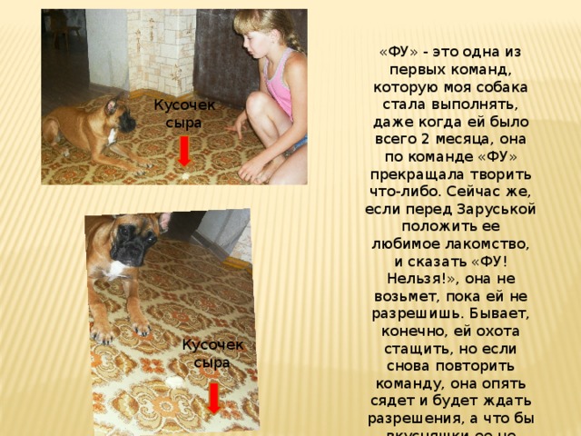 «ФУ» - это одна из первых команд, которую моя собака стала выполнять, даже когда ей было всего 2 месяца, она по команде «ФУ» прекращала творить что-либо. Сейчас же, если перед Заруськой положить ее любимое лакомство, и сказать «ФУ! Нельзя!», она не возьмет, пока ей не разрешишь. Бывает, конечно, ей охота стащить, но если снова повторить команду, она опять сядет и будет ждать разрешения, а что бы вкусняшки ее не смущали – отвернется. Кусочек сыра Кусочек сыра 